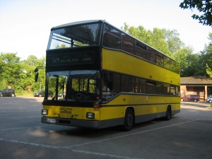 D Busse 002.jpg