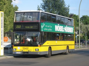 D Busse 008.jpg