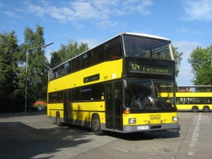 D Busse 017.jpg