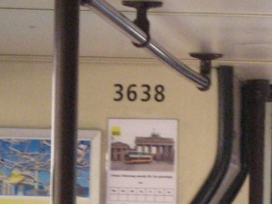 D Busse 021.jpg