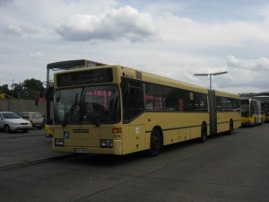 wer 005.jpg
