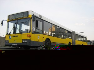 wer 028.jpg