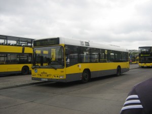 wer 183.jpg