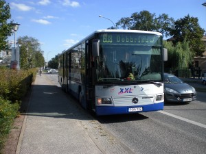 CIMG2394.JPG