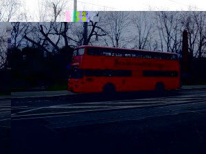 042.JPG