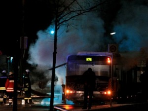 314934_1__Bus_Meyer3_.jpg