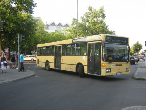 Bild 380.jpg