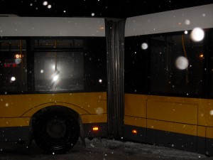 SDC17657.JPG