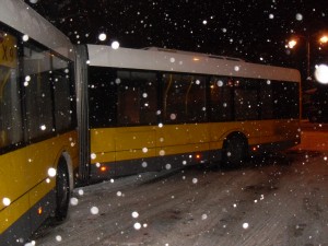 SDC17662.JPG