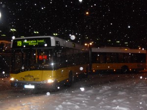 SDC17658.JPG