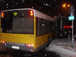SDC17664.JPG