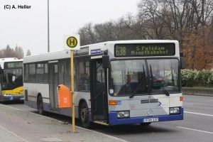 Kopie von IMG_4055.jpg