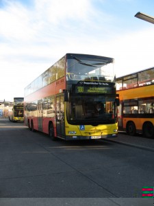 IMG_1271_1.jpg