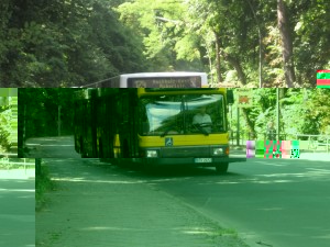 IMG_2799.JPG