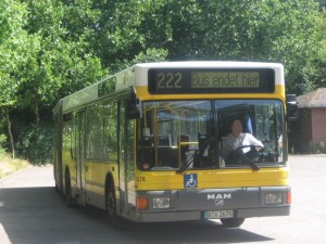 IMG_2795.JPG