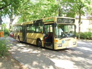 DSCI0245.JPG