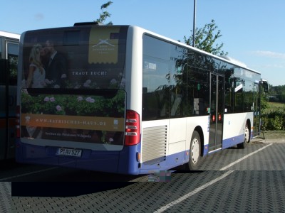 3527.JPG