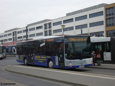 Havelbus5442.jpg