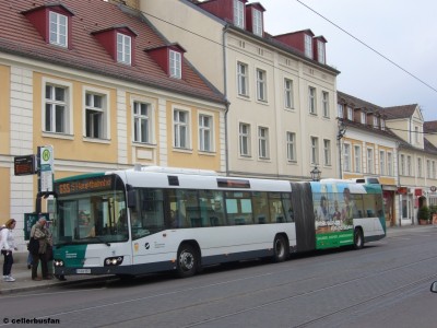 VIP957.jpg