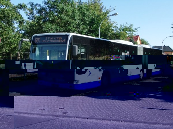 DSCF0393.JPG