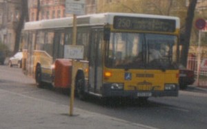 1087_250.jpg