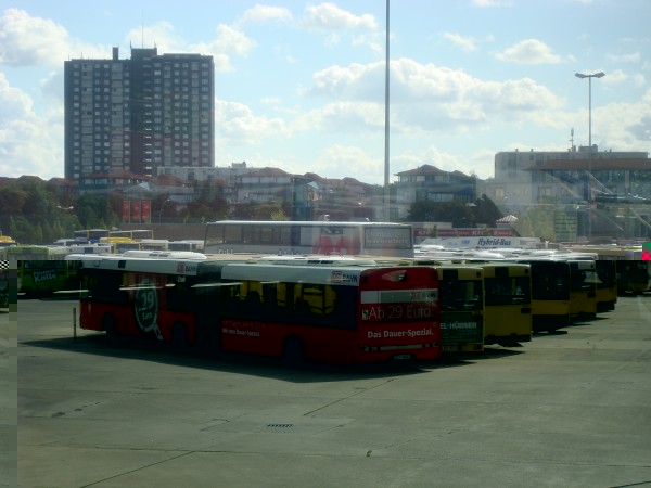 DSC06007.JPG