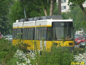 Bild (179).JPG
