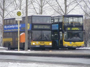 DSCF0729.JPG