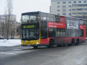 DSCF0730.JPG