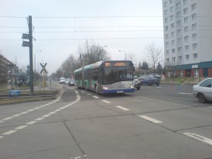 DSC01613.JPG