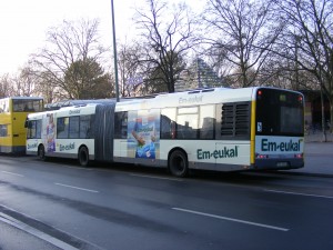 DSCF2245.JPG