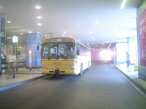 DSC00694.JPG