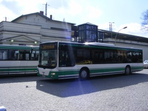 41.JPG