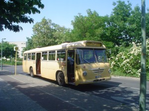 DSC00664.JPG