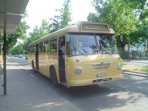 DSC00750.JPG