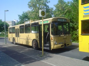DSC00680.JPG