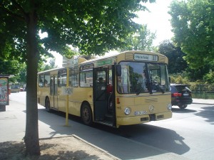 DSC00699.JPG