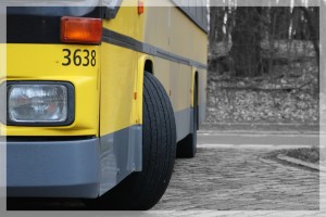 comp_IMG_1521cv.jpg