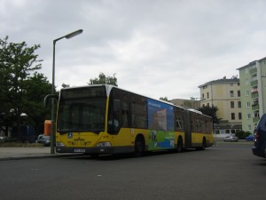 IMG_2003.JPG